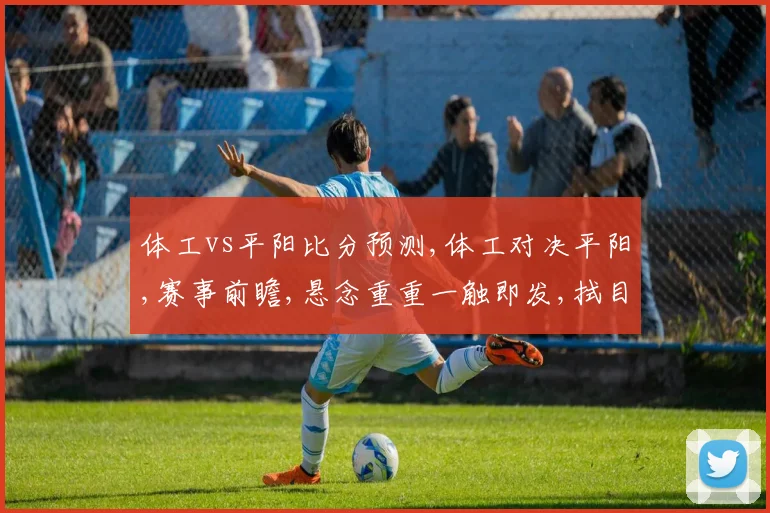 体工vs平阳比分预测,体工对决平阳,赛事前瞻,悬念重重一触即发,拭目以待