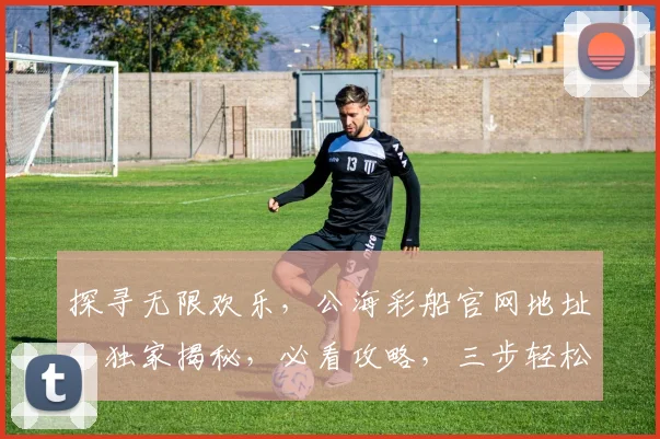 探寻无限欢乐，公海彩船官网地址，独家揭秘，必看攻略，三步轻松入门