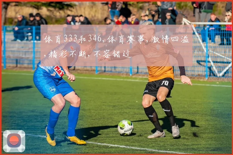 体育333和346,体育赛事,激情四溢,精彩不断,不容错过